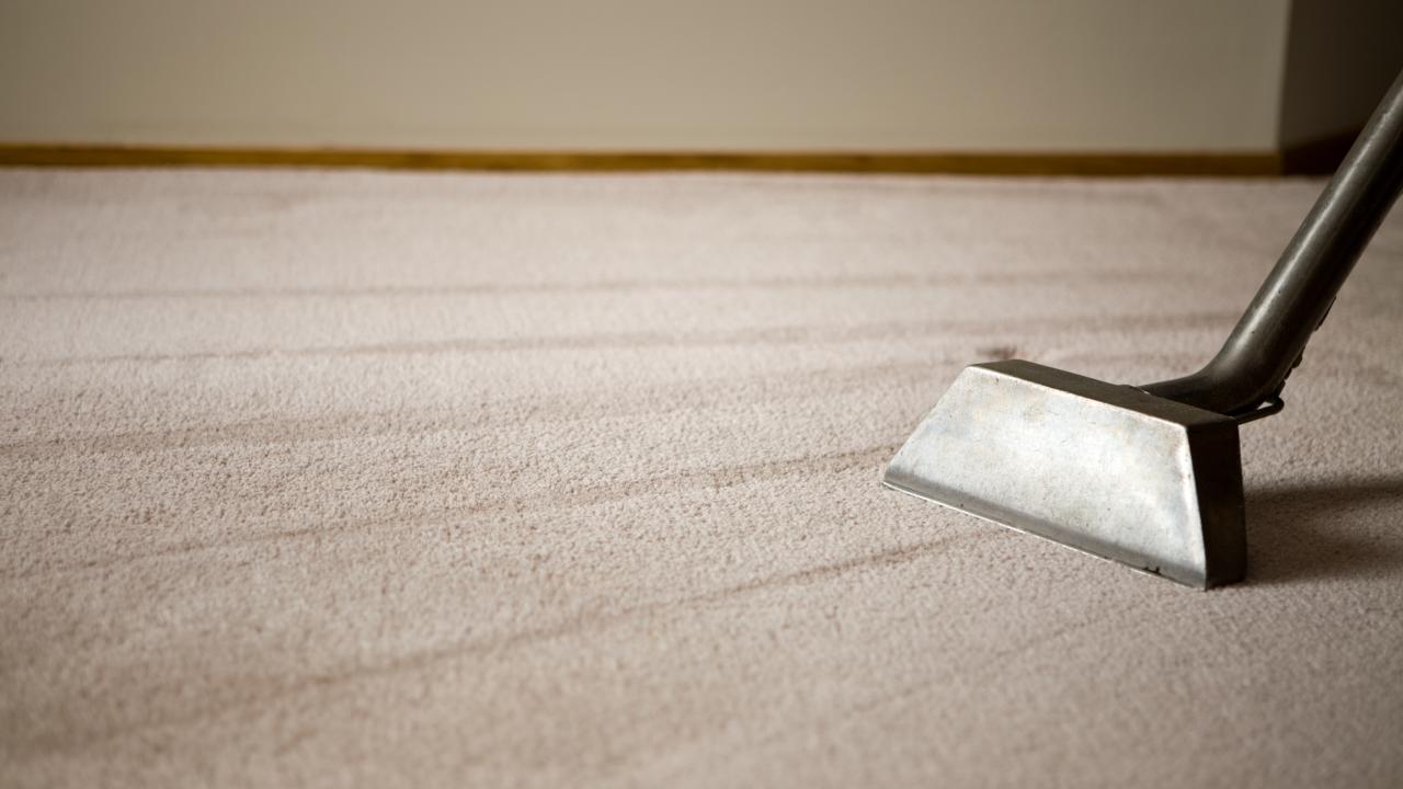 Revitalize Your Space Expert Carpet Cleaning Solutions